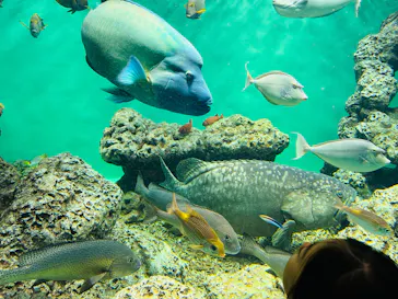 葛西臨海水族園に投稿された画像（2025/12/20）