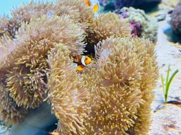 葛西臨海水族園に投稿された画像（2025/12/20）