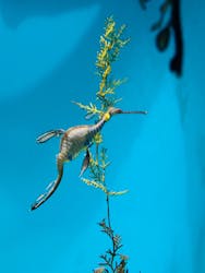 葛西臨海水族園に投稿された画像（2025/12/20）