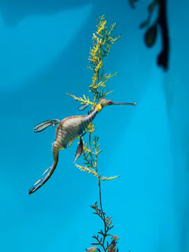 葛西臨海水族園に投稿された画像（2025/12/20）