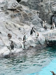 葛西臨海水族園に投稿された画像（2025/12/20）