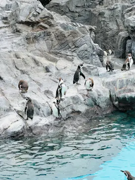 葛西臨海水族園に投稿された画像（2025/12/20）