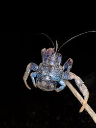 宮古島マリンショップSmileyに投稿された画像（2025/12/20）