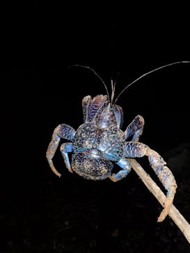 宮古島マリンショップSmileyに投稿された画像（2025/12/20）