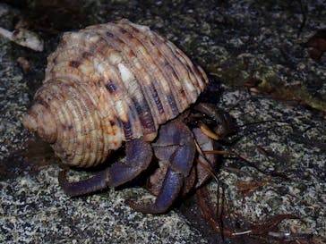 宮古島マリンショップSmileyに投稿された画像（2025/12/20）