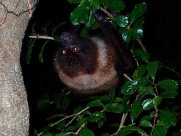 宮古島マリンショップSmileyに投稿された画像（2025/12/20）