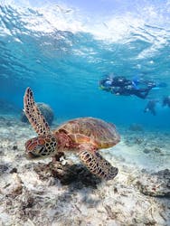 宮古島マリンショップSmileyに投稿された画像（2025/12/20）