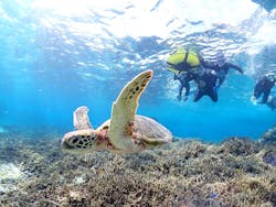 宮古島マリンショップSmileyに投稿された画像（2025/12/20）