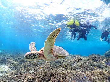 宮古島マリンショップSmileyに投稿された画像（2025/12/20）