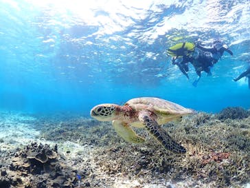 宮古島マリンショップSmileyに投稿された画像（2025/12/20）