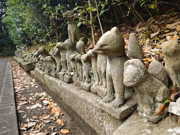 松江城に投稿された画像（2025/12/20）