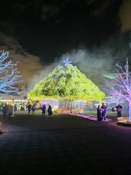 東京メガイルミに投稿された画像（2025/12/20）