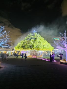 東京メガイルミに投稿された画像（2025/12/20）