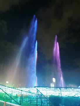 東京メガイルミに投稿された画像（2025/12/20）