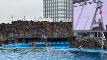 名古屋港水族館に投稿された画像（2025/12/20）