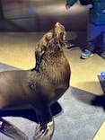すみだ水族館に投稿された画像（2025/12/20）
