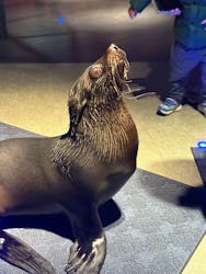 すみだ水族館に投稿された画像（2025/12/20）