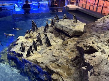 すみだ水族館に投稿された画像（2025/12/20）