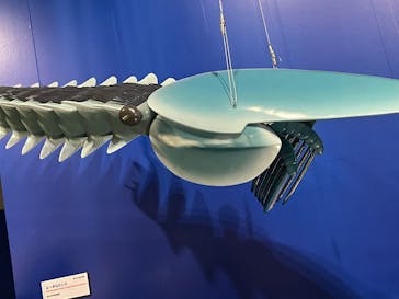 特別展「大絶滅展―生命史のビッグファイブ」に投稿された画像（2025/12/20）