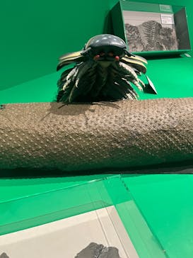 特別展「大絶滅展―生命史のビッグファイブ」に投稿された画像（2025/12/20）