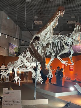 特別展「大絶滅展―生命史のビッグファイブ」に投稿された画像（2025/12/20）