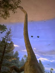 福井県立恐竜博物館に投稿された画像（2025/12/20）