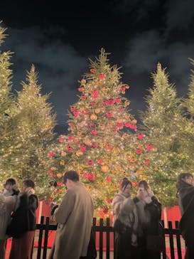 Christmas Market in 横浜赤レンガ倉庫 2025に投稿された画像（2025/12/20）