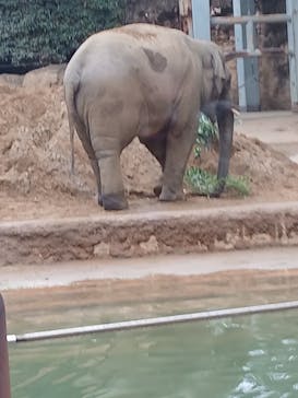 恩賜上野動物園に投稿された画像（2025/12/20）