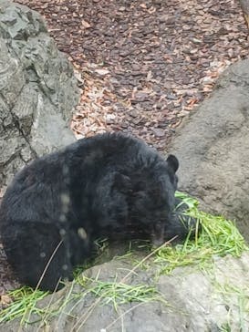 恩賜上野動物園に投稿された画像（2025/12/20）