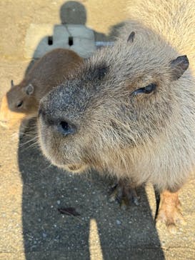長崎バイオパークに投稿された画像（2025/12/20）
