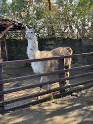 長崎バイオパークに投稿された画像（2025/12/20）