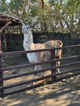 長崎バイオパークに投稿された画像（2025/12/20）