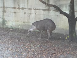 長崎バイオパークに投稿された画像（2025/12/20）