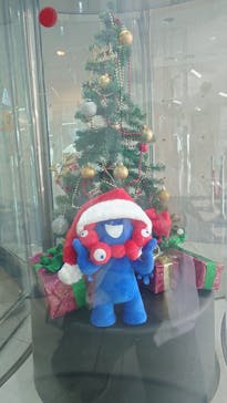 さきしまコスモタワー展望台に投稿された画像（2025/12/20）