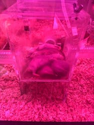 AQUARIUM × ART　atoaに投稿された画像（2025/12/20）