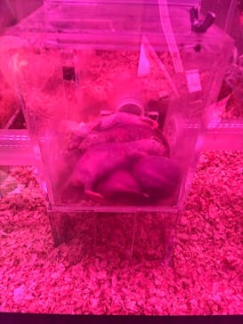 AQUARIUM × ART　atoaに投稿された画像（2025/12/20）