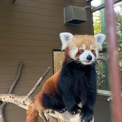 熱川バナナワニ園に投稿された画像（2025/12/20）