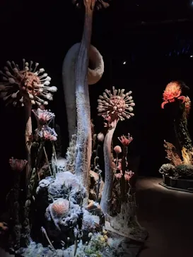 金曜ロードショーとジブリ展（静岡展）に投稿された画像（2025/12/20）