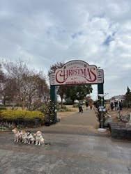 Christmas Market in 横浜赤レンガ倉庫 2025に投稿された画像（2025/12/20）