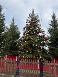 Christmas Market in 横浜赤レンガ倉庫 2025に投稿された画像（2025/12/20）