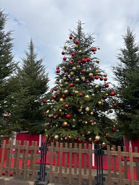 Christmas Market in 横浜赤レンガ倉庫 2025に投稿された画像（2025/12/20）