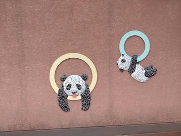 恩賜上野動物園に投稿された画像（2025/12/20）