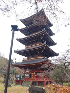 恩賜上野動物園に投稿された画像（2025/12/20）