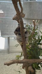 淡路ファームパーク イングランドの丘に投稿された画像（2025/12/20）