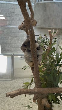 淡路ファームパーク イングランドの丘に投稿された画像（2025/12/20）