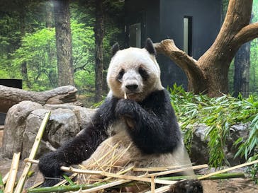 恩賜上野動物園に投稿された画像（2025/12/20）