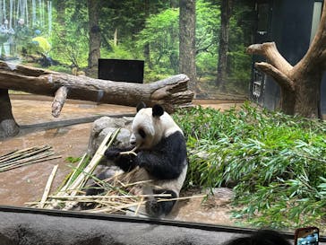 恩賜上野動物園に投稿された画像（2025/12/20）