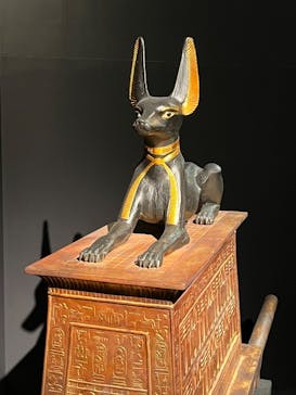MYSTERY OF TUTANKHAMEN 体感型古代エジプト展に投稿された画像（2025/12/20）