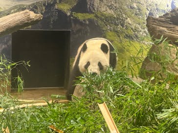 恩賜上野動物園に投稿された画像（2025/12/20）