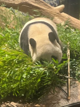 恩賜上野動物園に投稿された画像（2025/12/20）